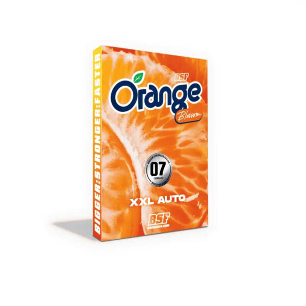 Semillas Orange Blossom XXL Auto (x7) | BSF Seeds